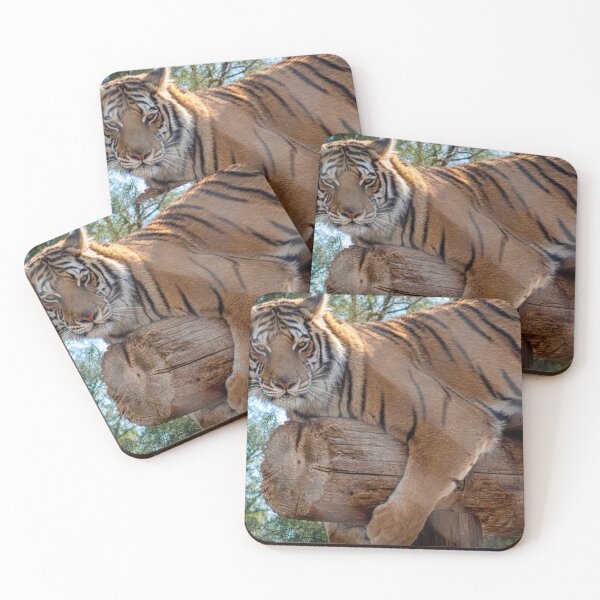 Item preview, Tiger resting designed and sold by ChrissyHull.