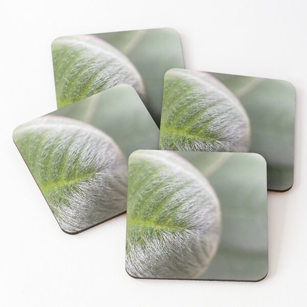 Item preview, White Hair on a Green Leaf designed and sold by Sinemathk.