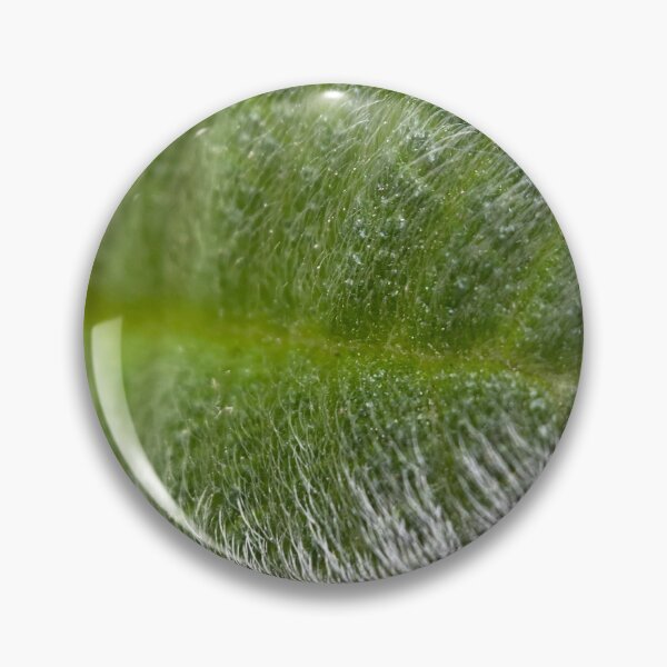 Item preview, White Hair on a Green Leaf designed and sold by Sinemathk.
