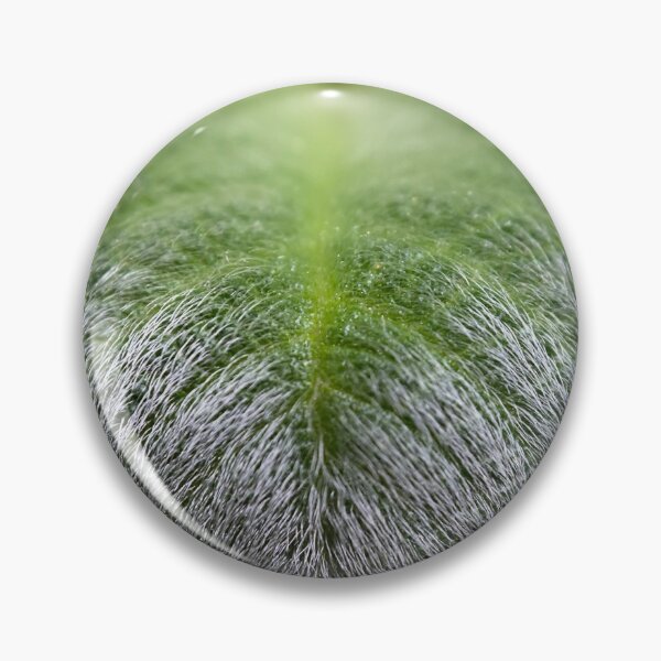 Item preview, White Hair on a Green Leaf designed and sold by Sinemathk.