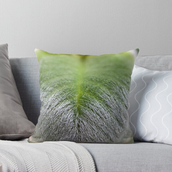 Item preview, White Hair on a Green Leaf designed and sold by Sinemathk.