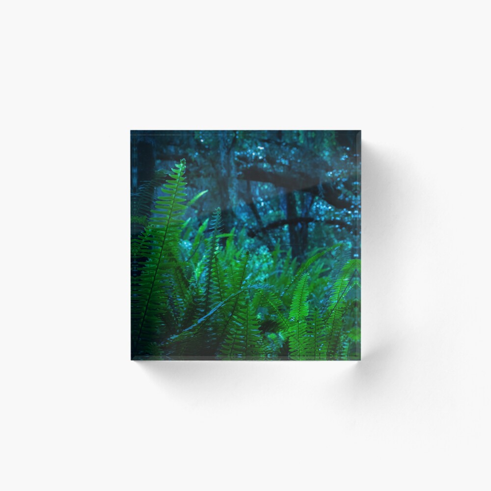 Item preview, Acrylic Block designed and sold by InhumanImaging.