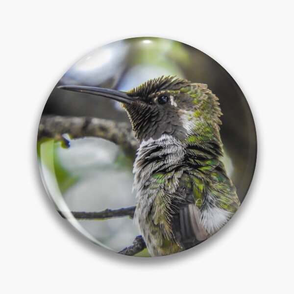 Item preview, Flustered hummingbird designed and sold by ChrissyHull.