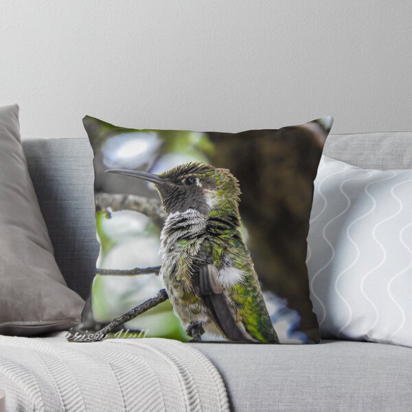 Item preview, Flustered hummingbird designed and sold by ChrissyHull.