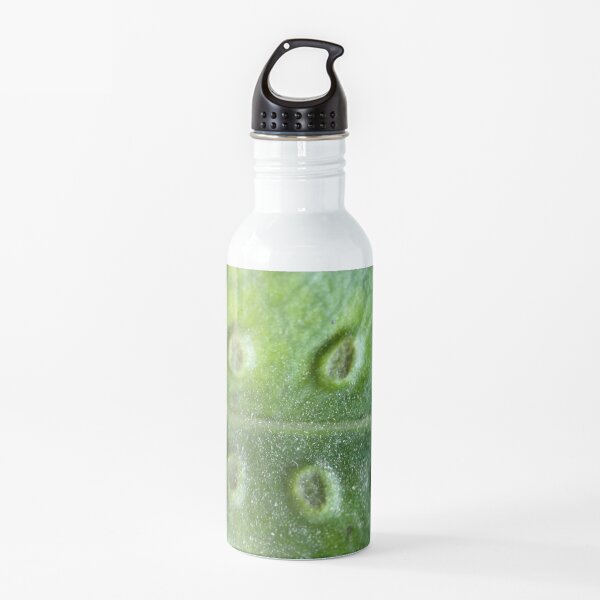 Golden Polypody Leaf Water Bottle