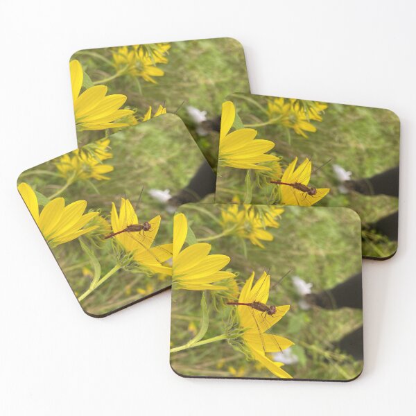 Item preview, The Small Things designed and sold by Brann Mohr.