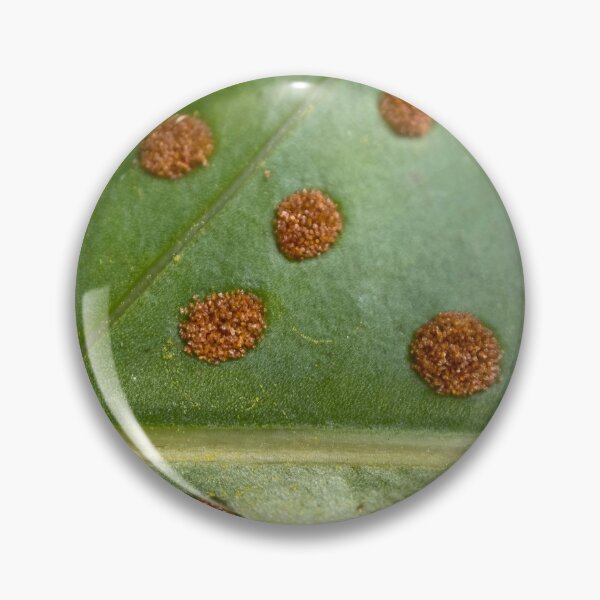 Item preview, Golden Polypody Leaf designed and sold by Sinemathk.