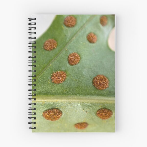 Item preview, Golden Polypody Leaf designed and sold by Sinemathk.