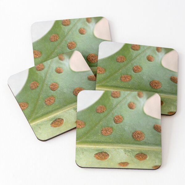 Item preview, Golden Polypody Leaf designed and sold by Sinemathk.