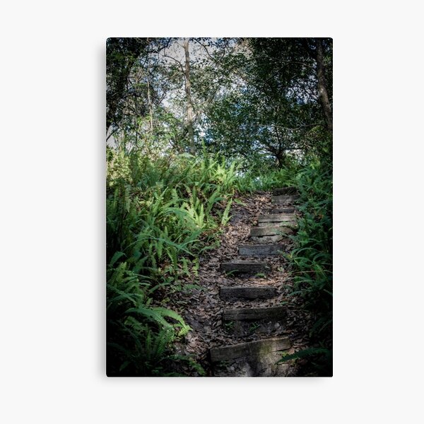 Tolkien Stairway Canvas Print