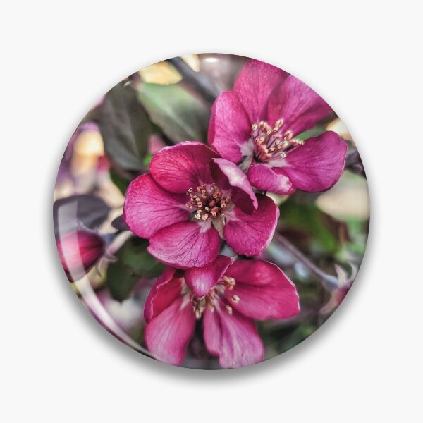 Item preview, Cherry Blossom Delight designed and sold by indigorayz.