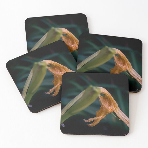 Item preview, After a Day designed and sold by louise reeves.