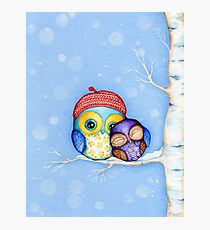 Owl in a Little Red Beret Photographic Print