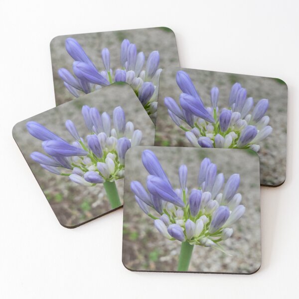 Item preview, Purple bloom designed and sold by Samrabito119.