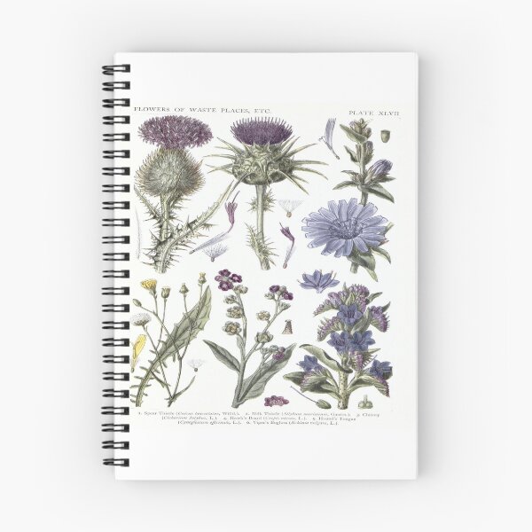 Item preview, Botanical Thistles designed and sold by IvyOwl.