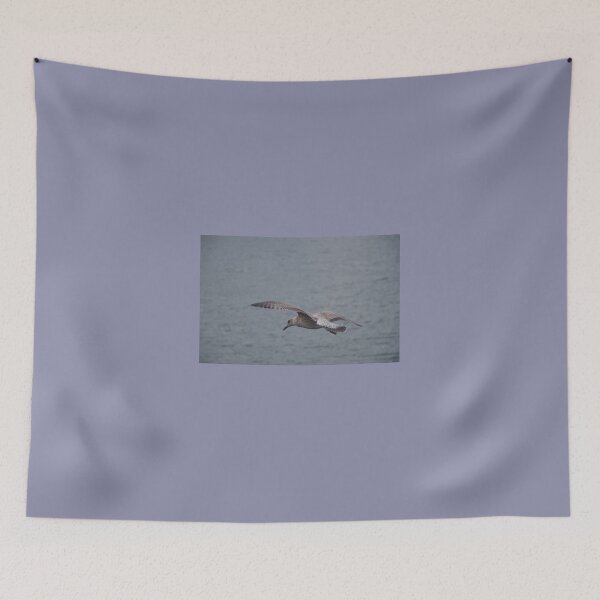 Item preview, Juvenile Herring Gull designed and sold by lezvee.