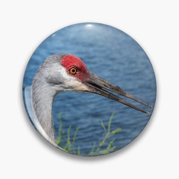 Item preview, Sandhill Eye designed and sold by InhumanImaging.