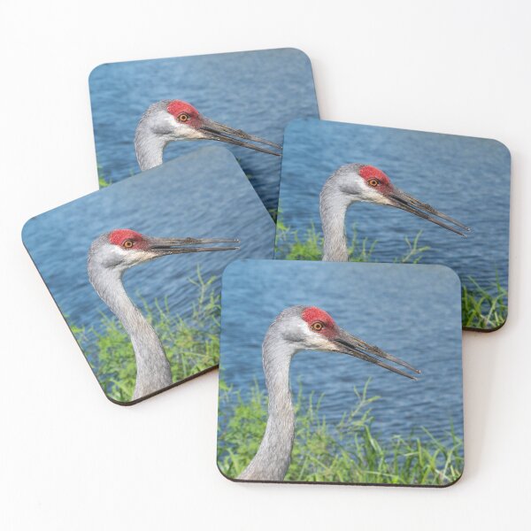 Item preview, Sandhill Eye designed and sold by InhumanImaging.