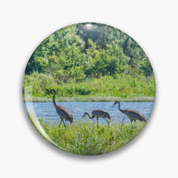 Item preview, Family Unit designed and sold by InhumanImaging.