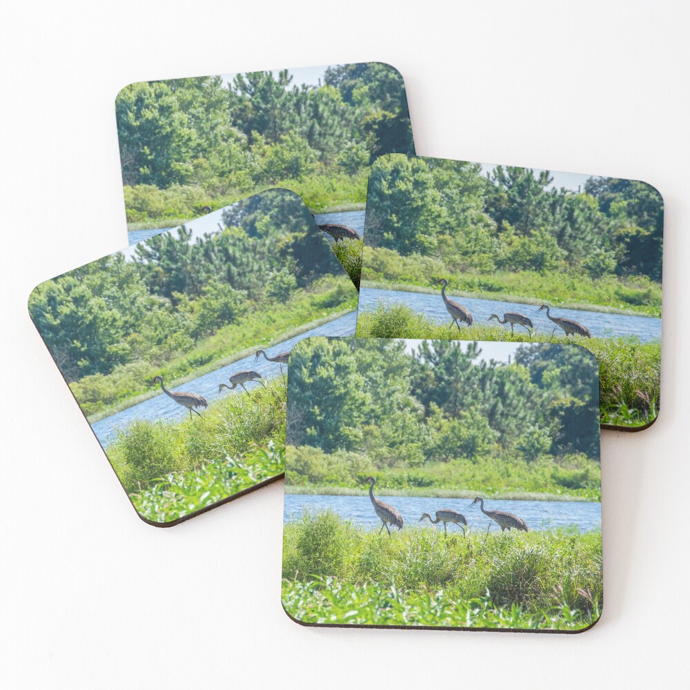 Item preview, Coasters (Set of 4) designed and sold by InhumanImaging.