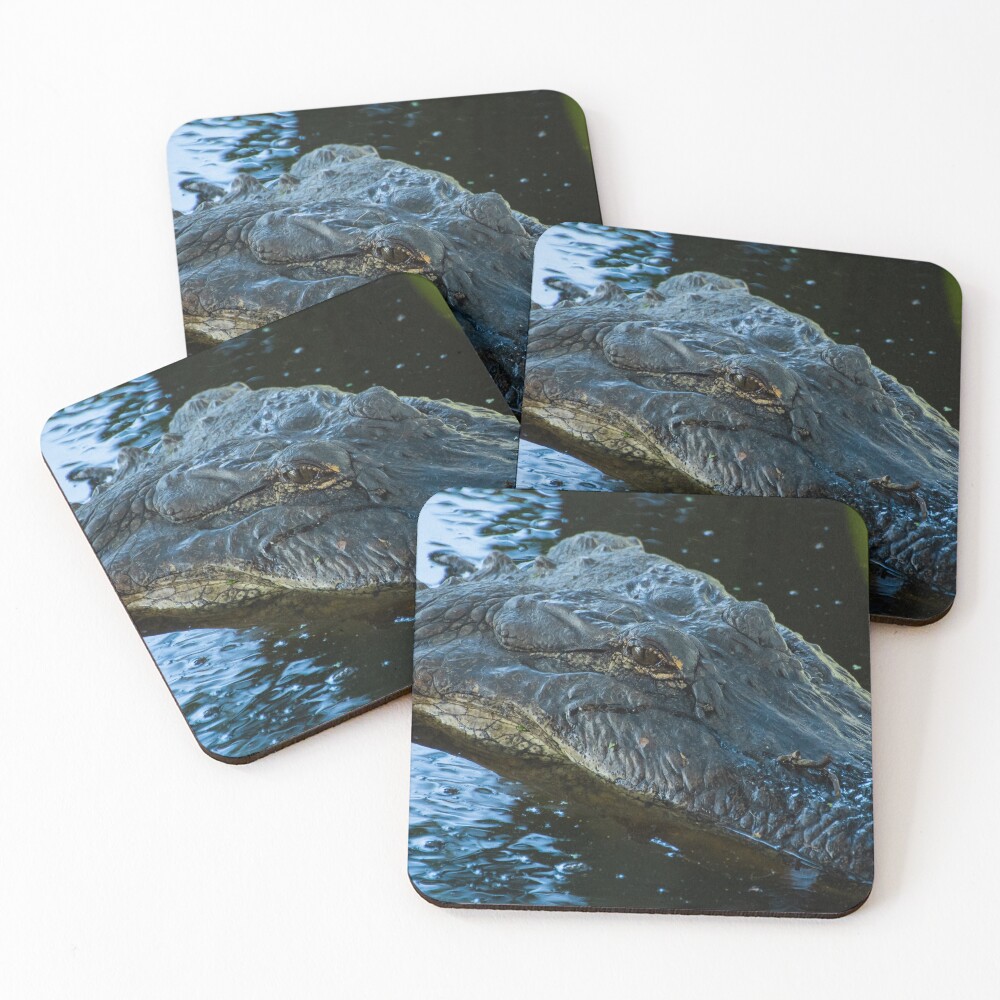 Item preview, Coasters (Set of 4) designed and sold by InhumanImaging.