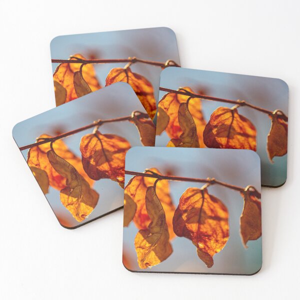 Item preview, Fall Leaves brightly lit by the sun designed and sold by abcpho2grafy.