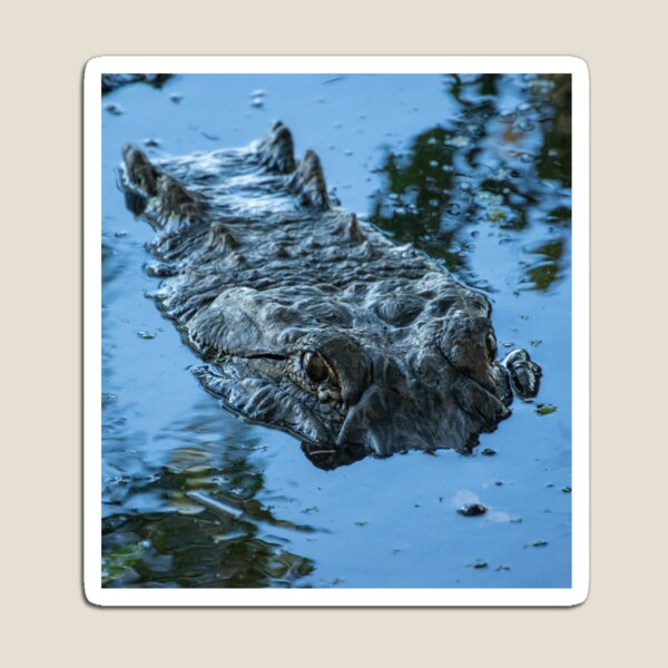 Item preview, Armadura natural designed and sold by InhumanImaging.