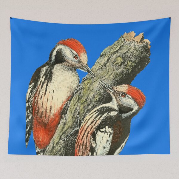 Item preview, Two Woodpeckers Building Their Nest designed and sold by laguitan10.