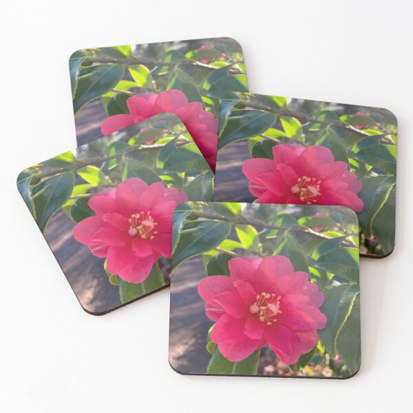 Item preview, Rhododendron  designed and sold by Terra Dumont.