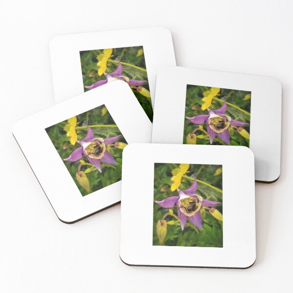 Item preview, Cosy as a Bumble Bee designed and sold by Amber Graham (grahamedia).