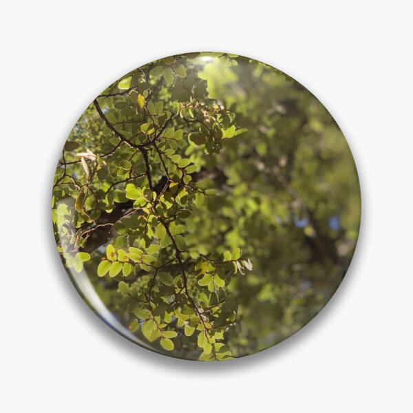 Item preview, Beech designed and sold by Terra Dumont.