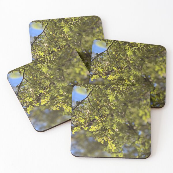 Item preview, Beech designed and sold by Terra Dumont.