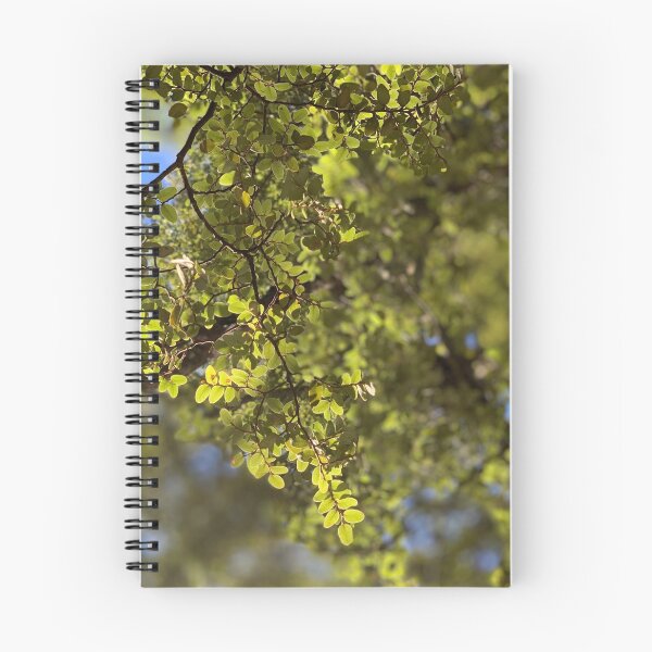 Item preview, Beech designed and sold by Terra Dumont.