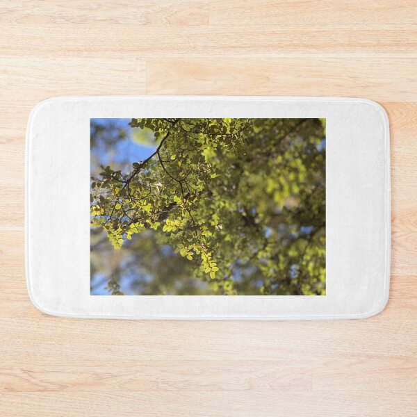 Item preview, Beech designed and sold by Terra Dumont.
