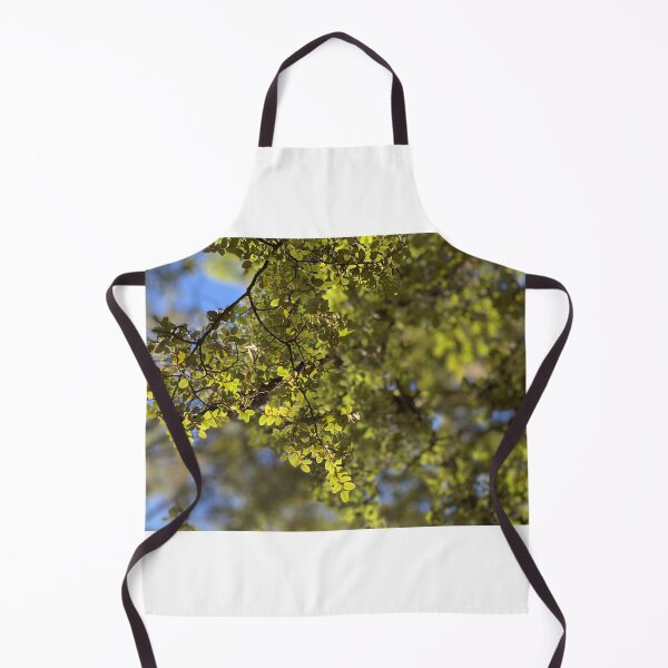 Item preview, Beech designed and sold by Terra Dumont.