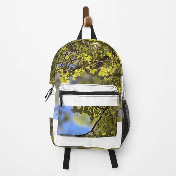 Item preview, Beech designed and sold by Terra Dumont.