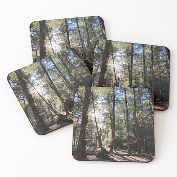 Item preview, Beech forest designed and sold by Terra Dumont.