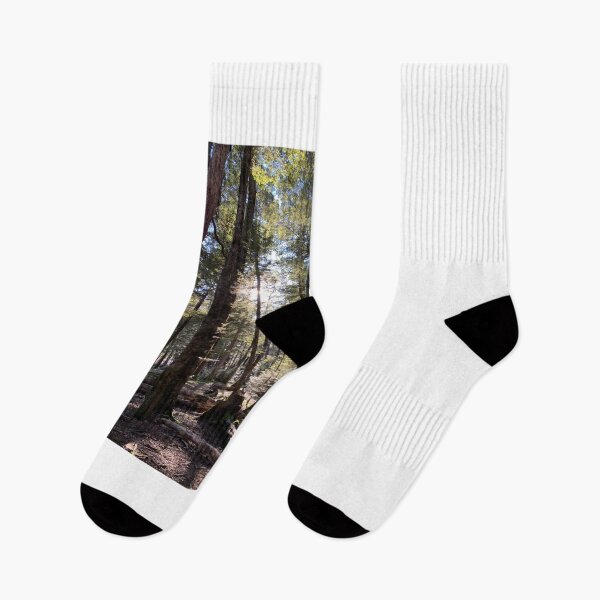 Item preview, Beech forest designed and sold by Terra Dumont.
