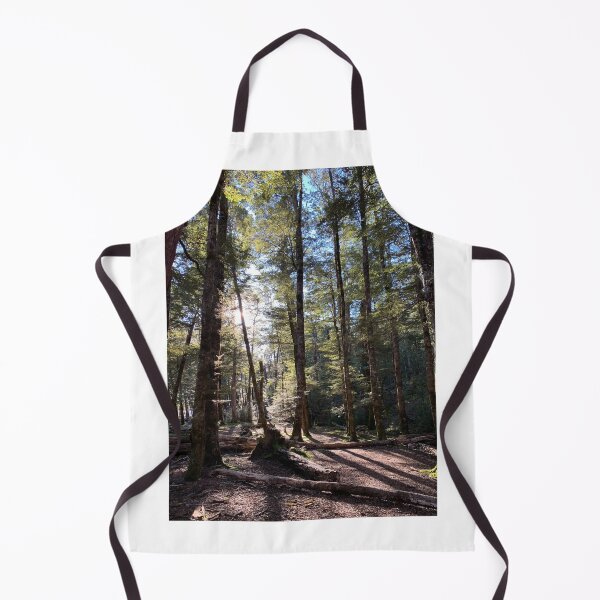 Item preview, Beech forest designed and sold by Terra Dumont.