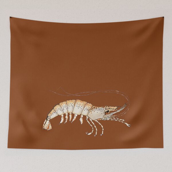 Item preview, Shrimp designed and sold by WanderingMogwai.