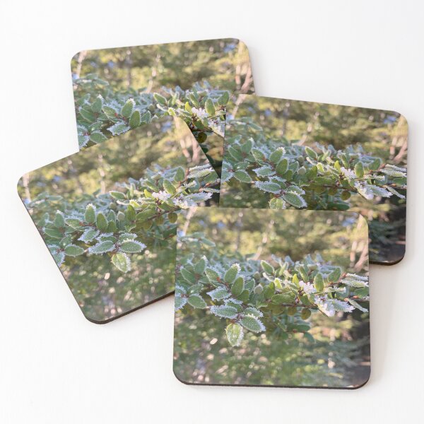 Item preview, Frosty beech  designed and sold by Terra Dumont.