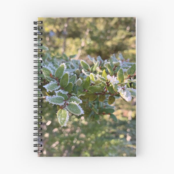 Item preview, Frosty beech  designed and sold by Terra Dumont.