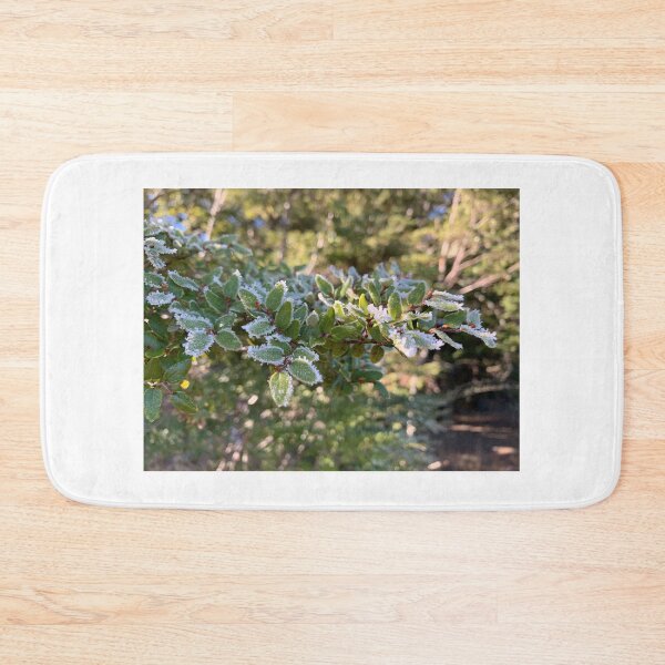 Item preview, Frosty beech  designed and sold by Terra Dumont.