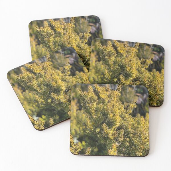 Item preview, Totora designed and sold by Terra Dumont.