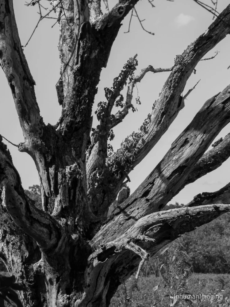 Thumbnail 4 of 4, iPhone Case, Blighted Roots designed and sold by InhumanImaging.