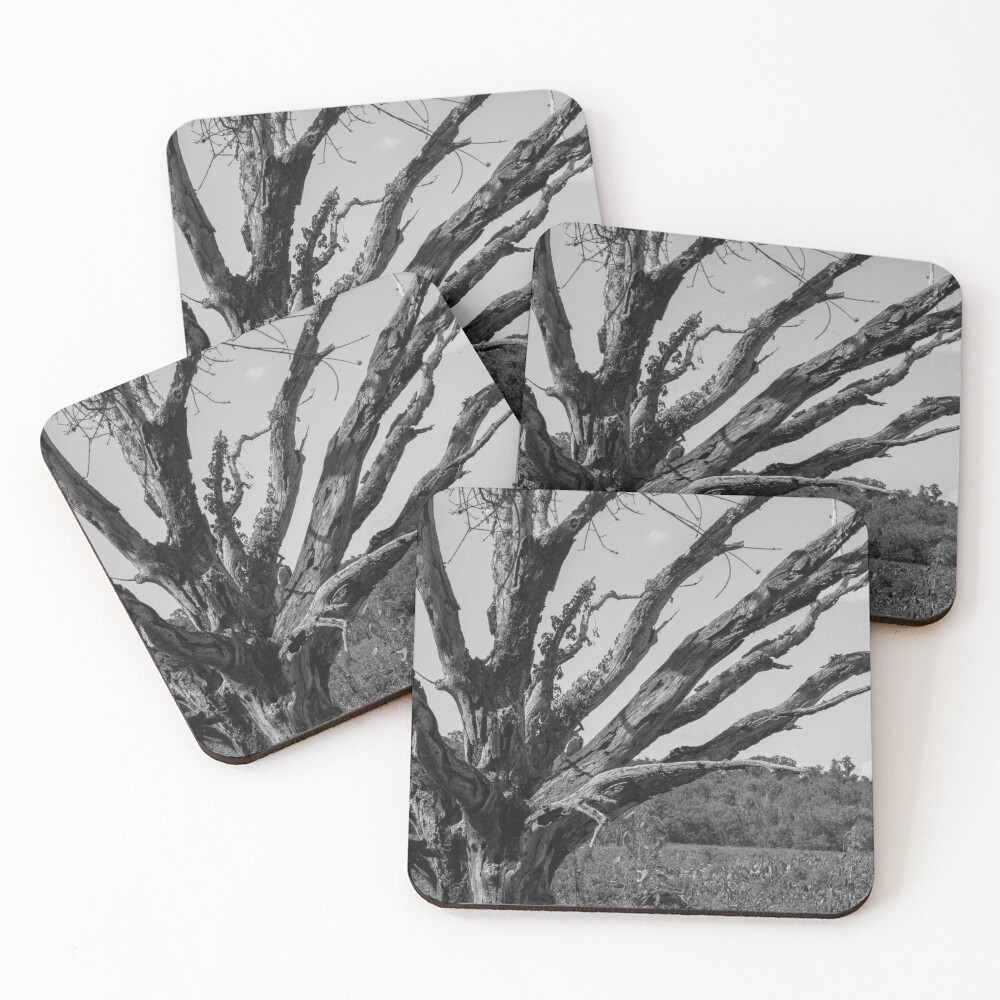Item preview, Coasters (Set of 4) designed and sold by InhumanImaging.