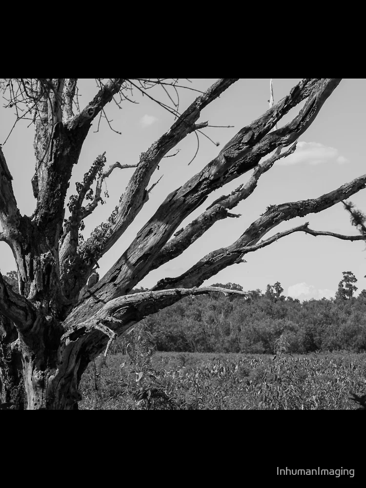 Thumbnail 3 of 3, Scarf, Blighted Roots designed and sold by InhumanImaging.