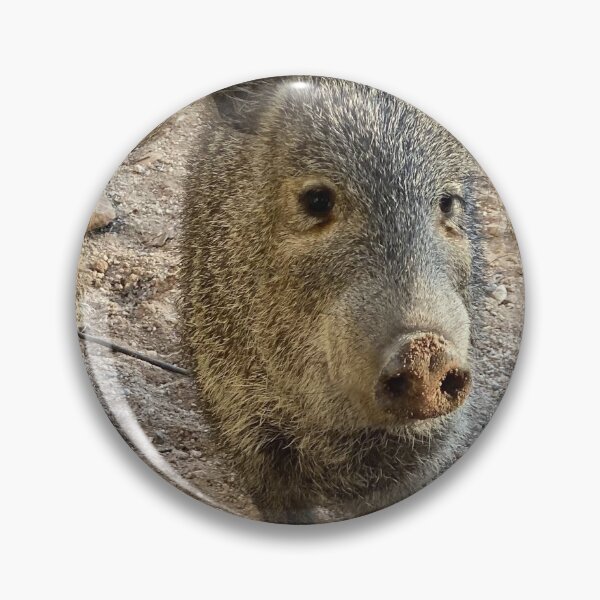 Artikelvorschau, Wüste Javelina entworfen und verkauft von LaLaLandndnd.