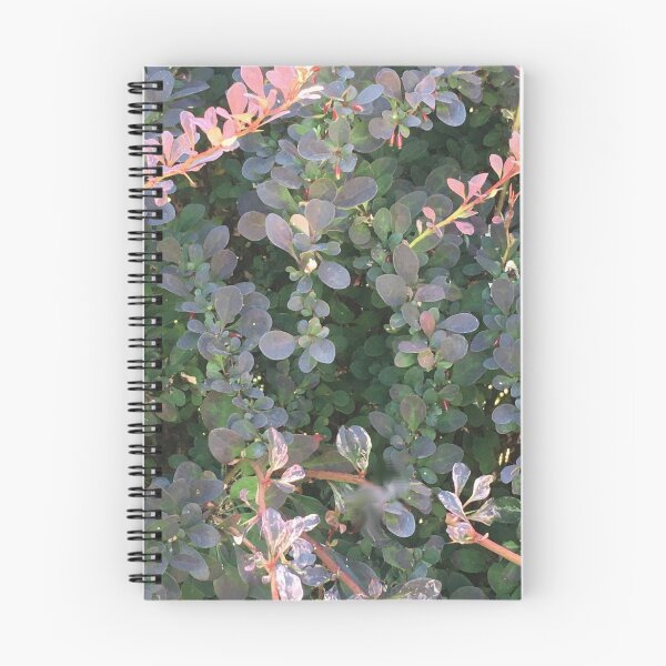 Item preview, Barberry Bush designed and sold by Jotipal.