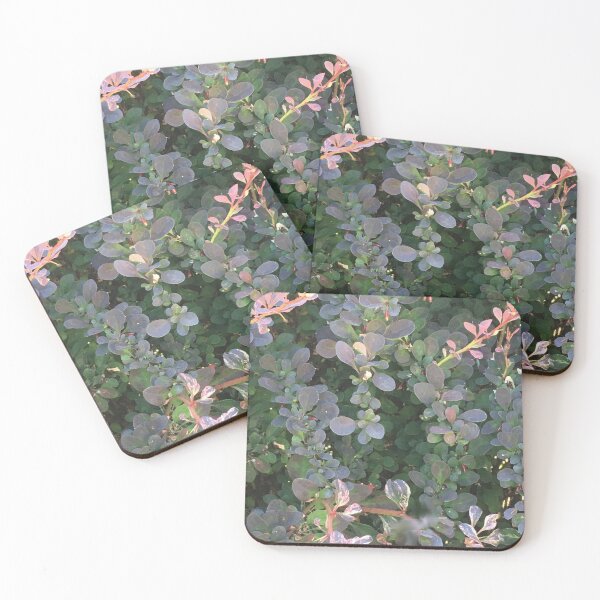 Item preview, Barberry Bush designed and sold by Jotipal.